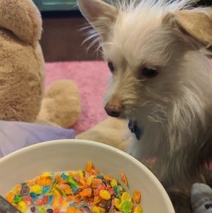 Meet your Posher, Bryan